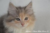 /album/fotogallerij/bella-9-jpeg1/